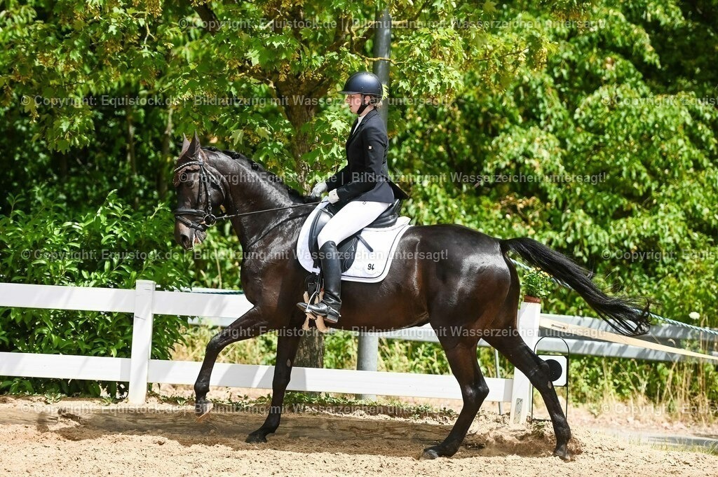 20230715_05_Dressurprüfung Kl.A++_0385 | equistock