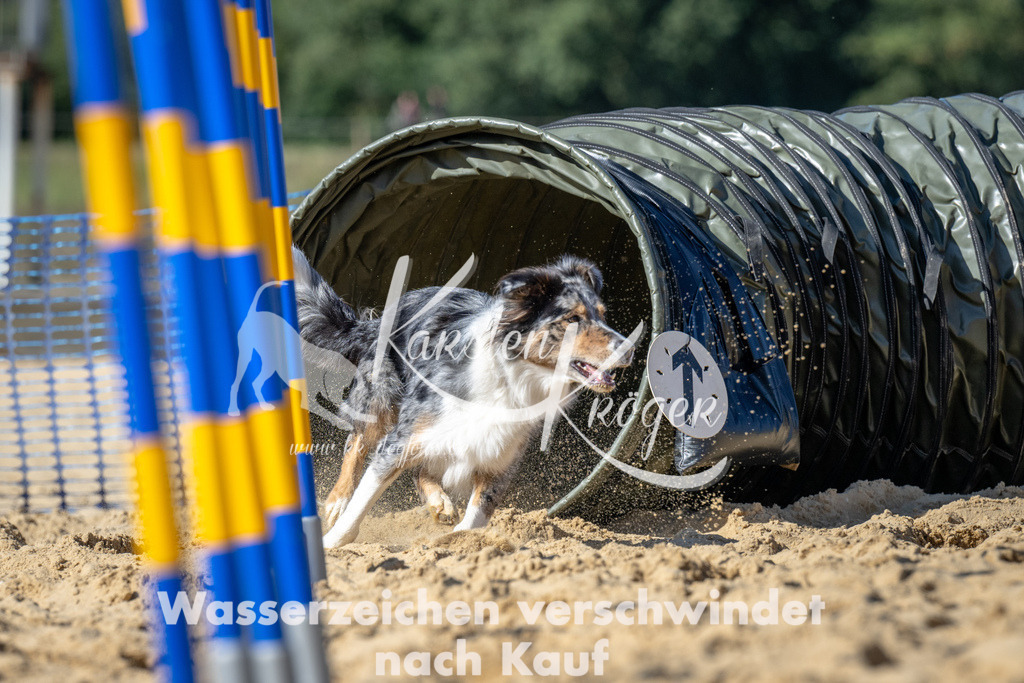 1313_ZZ94105-2 | kk-dogfotos