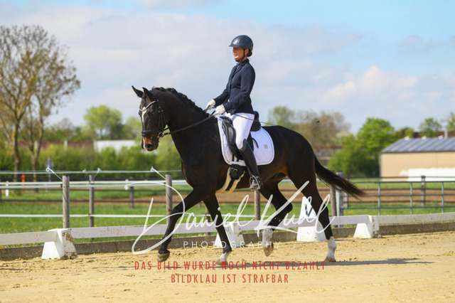 DKP43028 | Turniersportfotografie; Pferdefotografie; Dressurfotografie