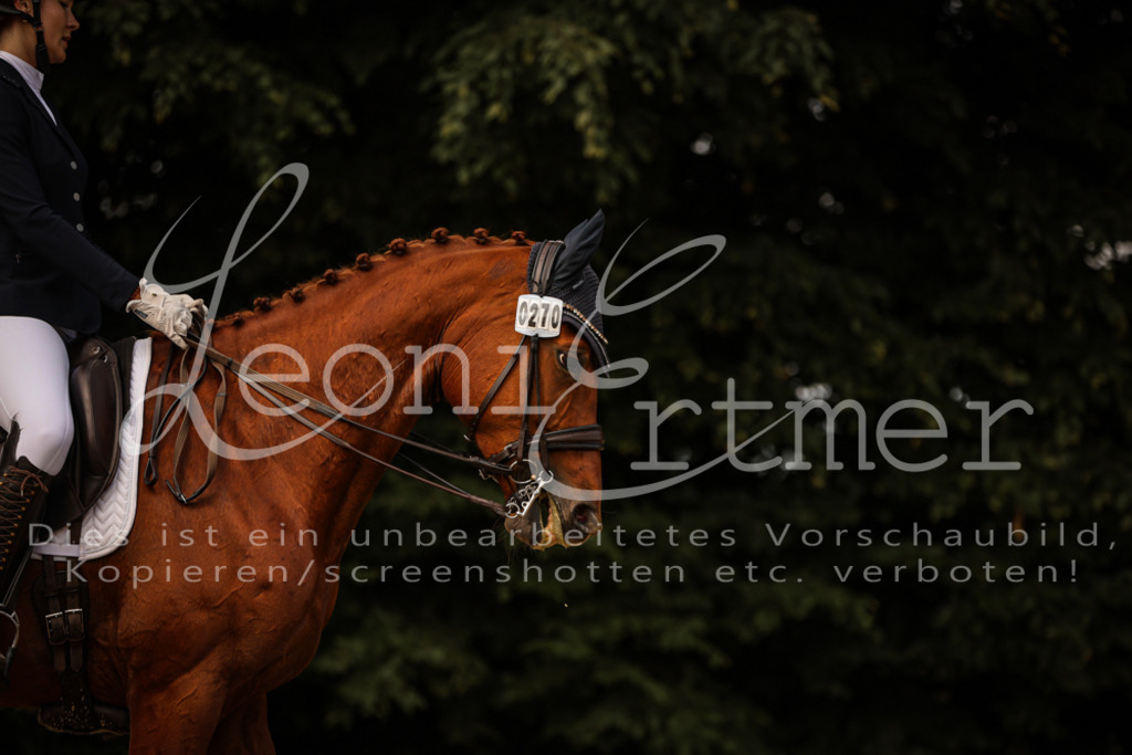 18.SoDrLK00108 | Leoni Ertmer Photography - Realisiert mit Pictrs.com