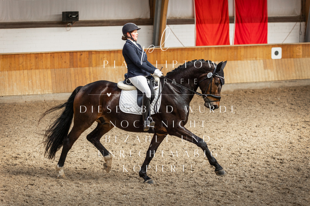 IMGT4680 | pl-fotografie