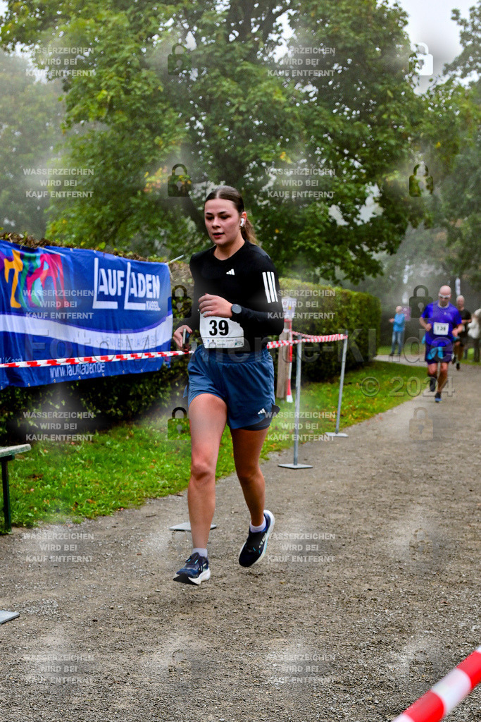 Z8N_2086 | la-psv - Realisiert mit Pictrs.com