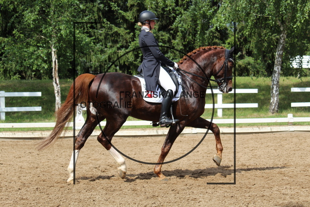 IMG_9154 | franziskalange - Realisiert mit Pictrs.com