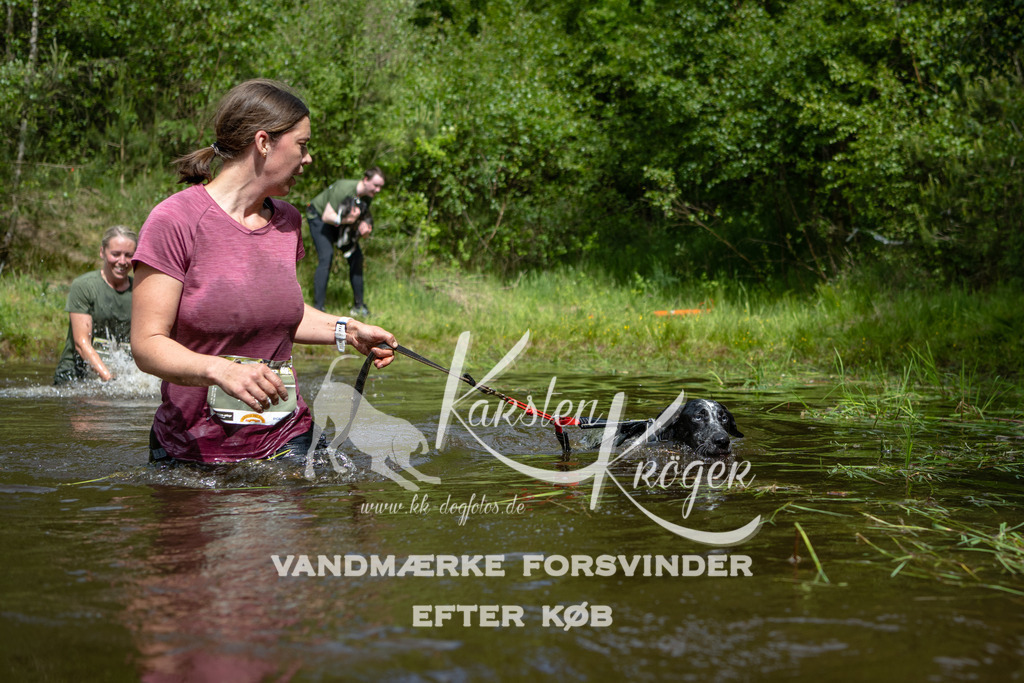 1120DKK994847 | kk-dogfotos
