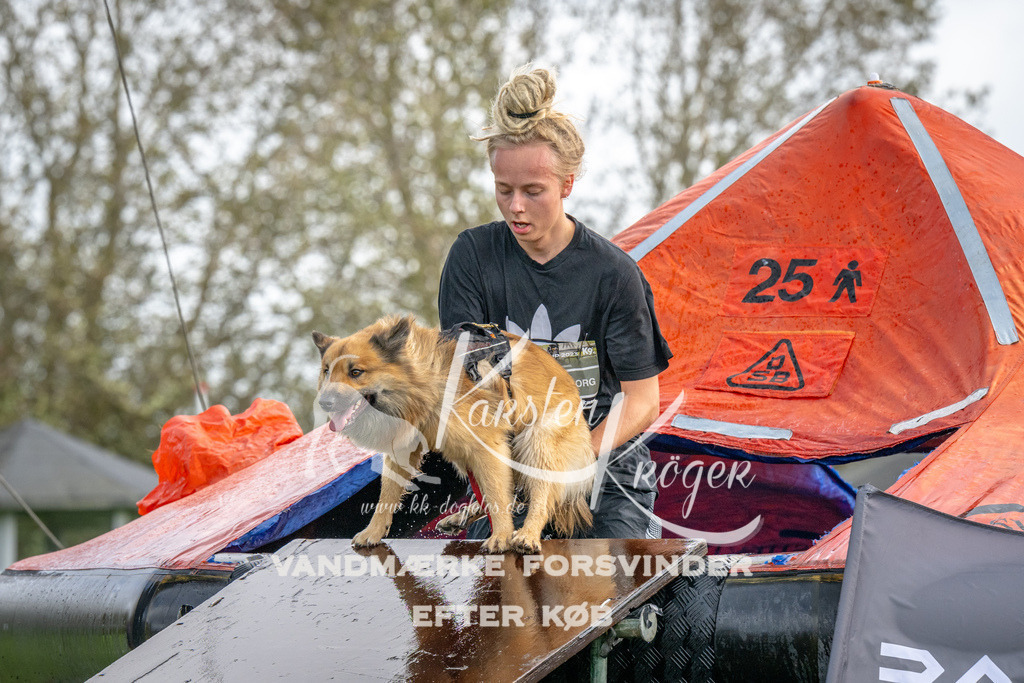 1219-93307 | kk-dogfotos