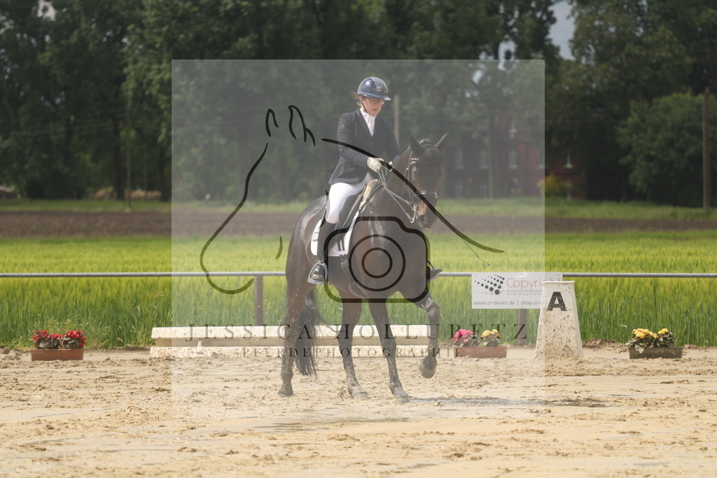 IMG_9305 | jessicahollubetz_pferdephotographie - Realisiert mit Pictrs.com