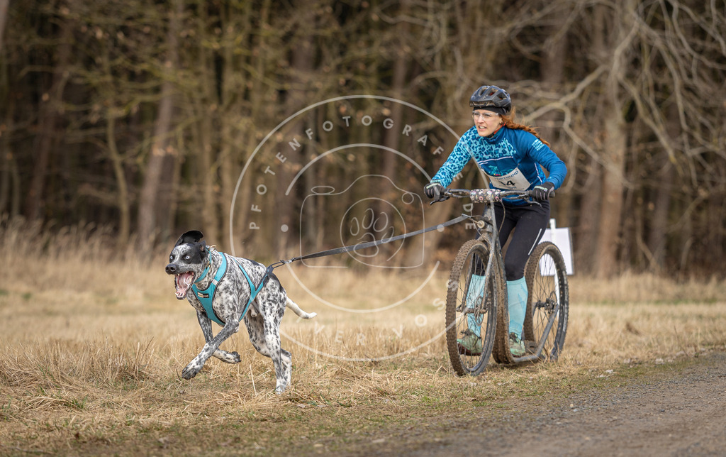 DV3A4653 | Hundefotografie, Tierfotograf, Pfotenfotografie, Fotoshooting Hund, Hunde Portrait, Hundesport, Hundeportraits, Heideshooting, Hunde, Sportfotograf, Hundefotograf, Turnierhundsport, THS,  - Realisiert mit Pictrs.com