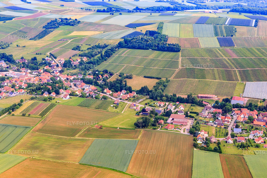 Vue aérienne: Vue de la ville depuis le sud à Steinseltz dans le département Bas Rhin, France – .Photo: IMG_100732.jpg prise le 05/06/2017 par Werner Riehm/FLY-FOTO.eu – Résolution de l'original: 5472 x 3648 px