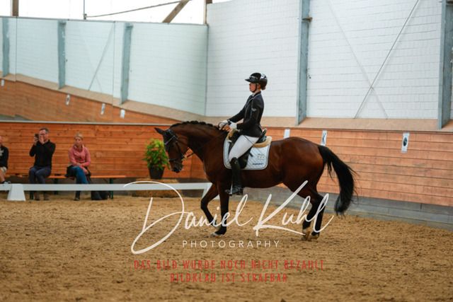 _62_6062 | Turniersportfotografie; Pferdefotografie; Dressurfotografie