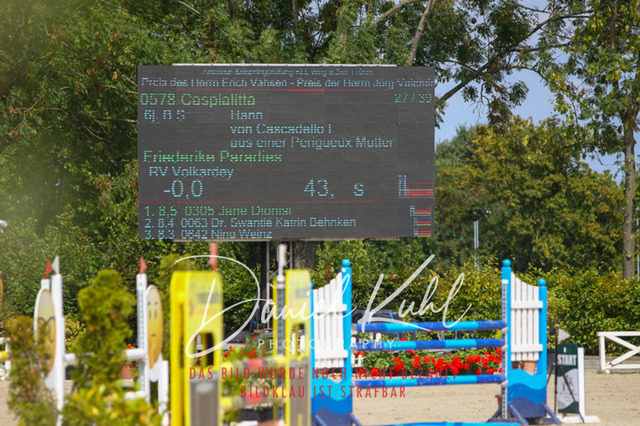 Gut Blee25_Amateuer Stilsprpfg Kl L_0223 | Turniersportfotografie; Pferdefotografie; Dressurfotografie