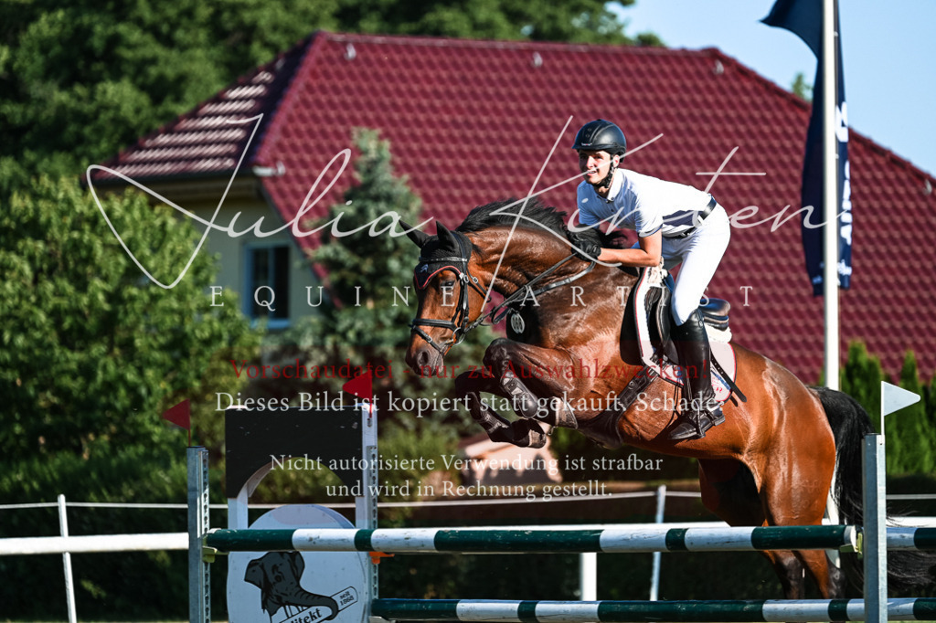 DSC_3065 | Pferde- und Turnierfotografie in Westsachsen. Pferdeportraits, Auftragszeichnungen und intuitive Kunst.