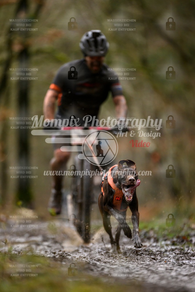 MompixPhotography_CDSM24_SA_DS1-36 | PayLife