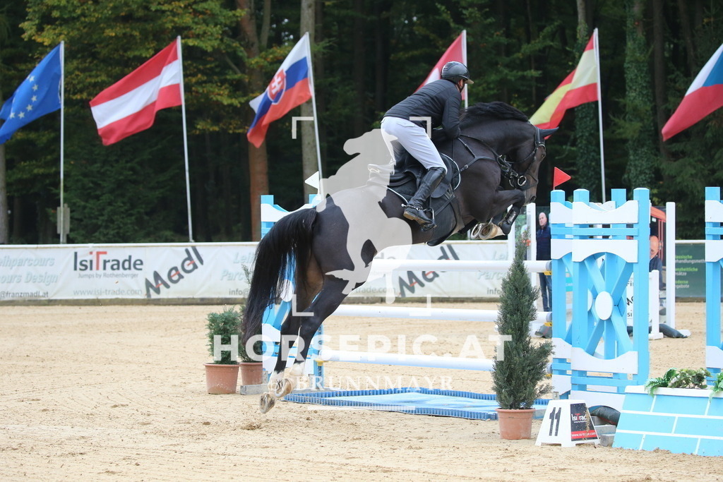 DL2Q0908 | Willkommen bei Brunnmayr - Design & Fotografie – Ihrem Spezialisten für Reitturniere und Pferdeveranstaltungen in Oberösterreich, Salzburg und Bayern! Seit über 17 Jahren sind wir leidenschaftlich dabei.