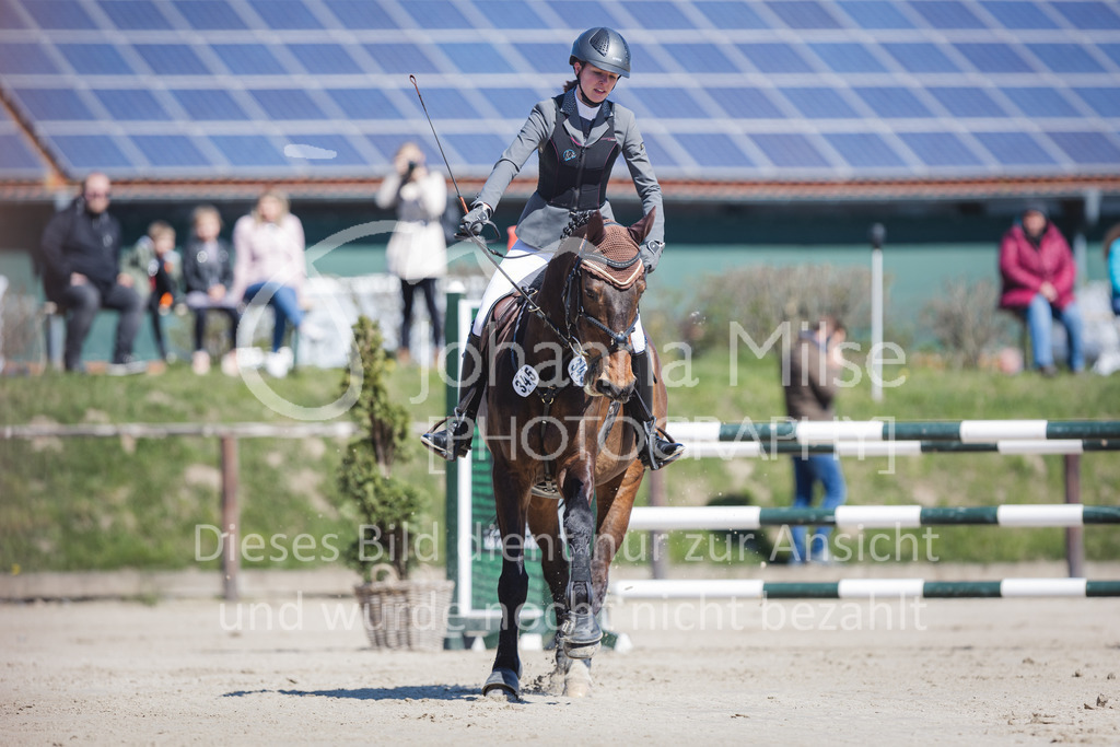 220416_3_A-Springen-308 | Frühlingsfest der Pferde
Herford
16.April 2022
03/1 Sprigprüfung mit steigenden Anforderungen Kl. A** geschlossen 0-43 RLP