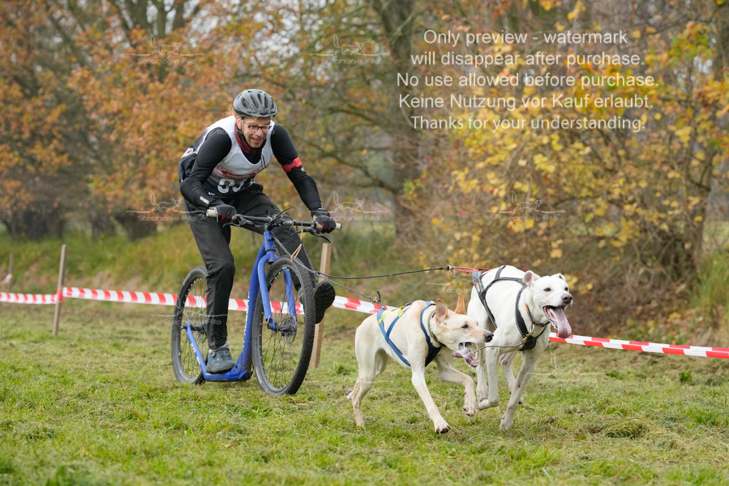 Visbeck_Sa_DS2DR2-33 | stephaniefillaphotographie - Realisiert mit Pictrs.com