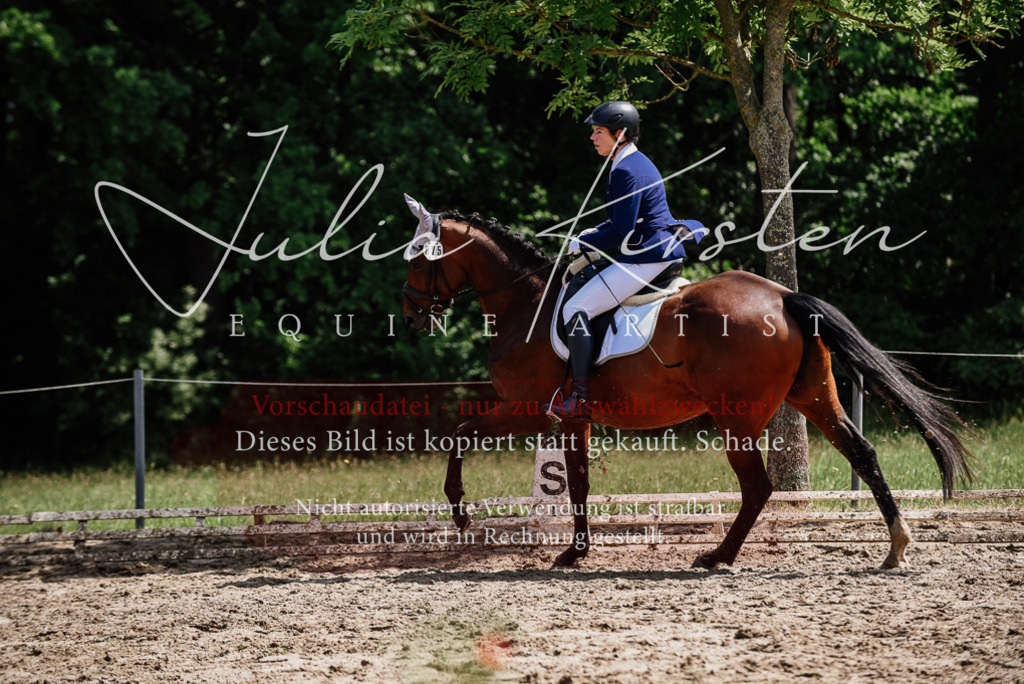 DSC_1236 | Pferde- und Turnierfotografie in Westsachsen. Pferdeportraits, Auftragszeichnungen und intuitive Kunst.