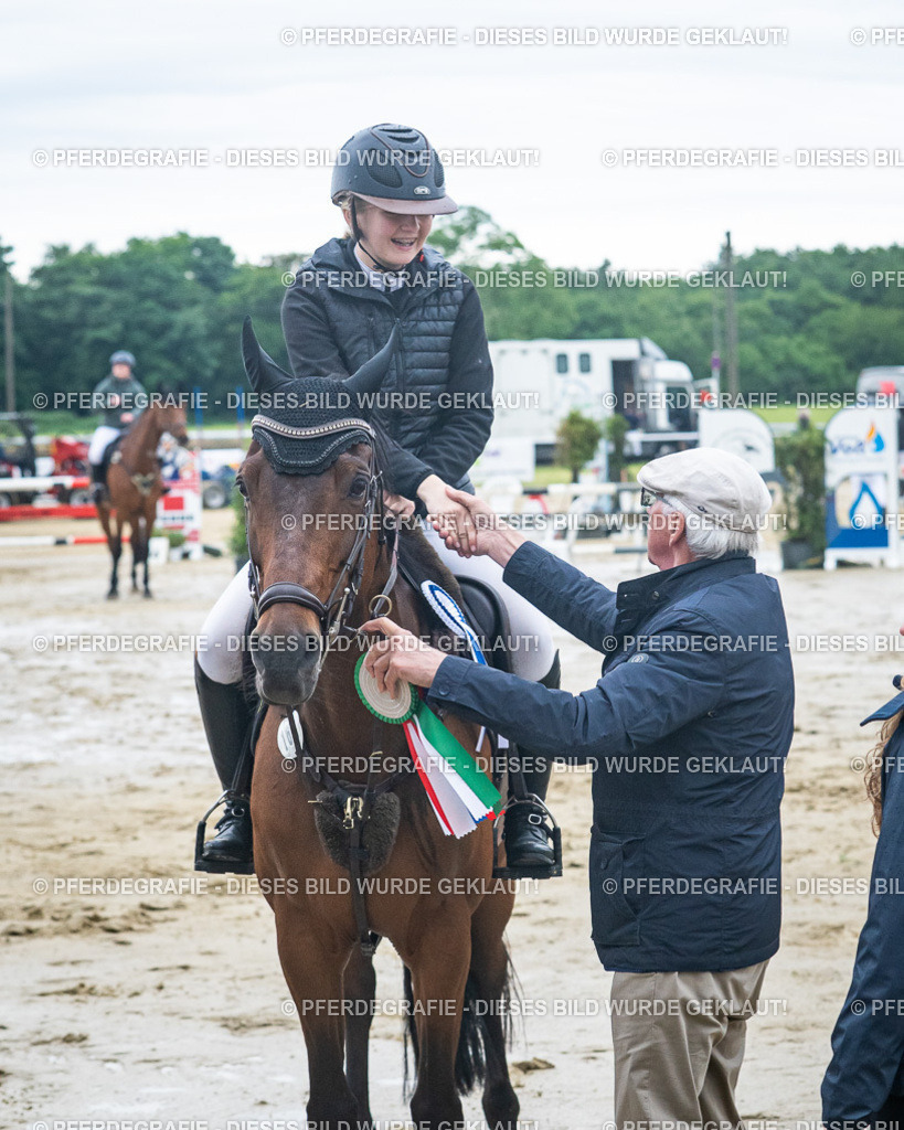 DSC04273 | Pferdegrafie