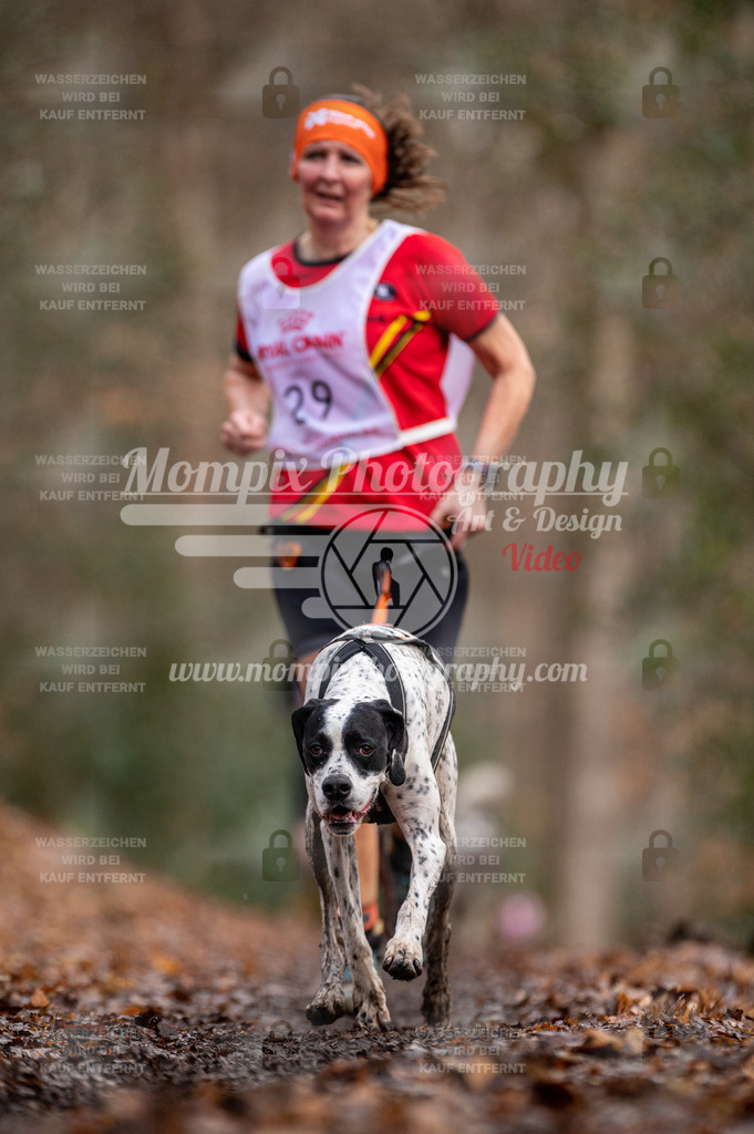 SPA_2023_DIM_CCL-156 | PayLife