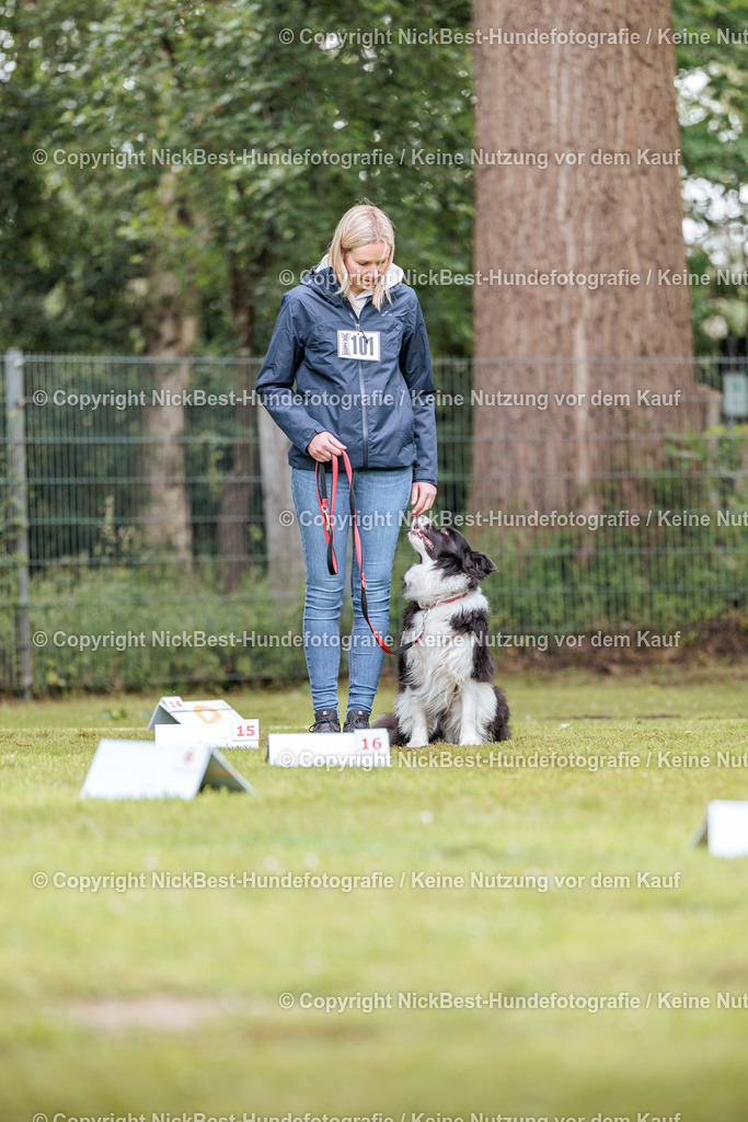 RO-Blumenthal-2026-Nickbest-Hundefotografie-5191 | Dein Hund! Dein Moment! Deine Erinnerungen! Hundefotografie in Bremen Blumenthal. Ich fange die besonderen Momente deines Vierbeiners ein – ob Indoor mit Blitzanlage oder in der freien Natur. Sicher dir dein Moment und dein Termin für eure Erinnerungen.