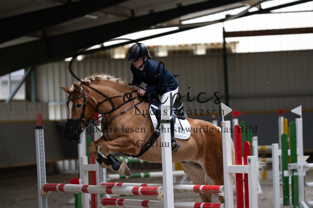 A7V07273 | Pferdefotograf