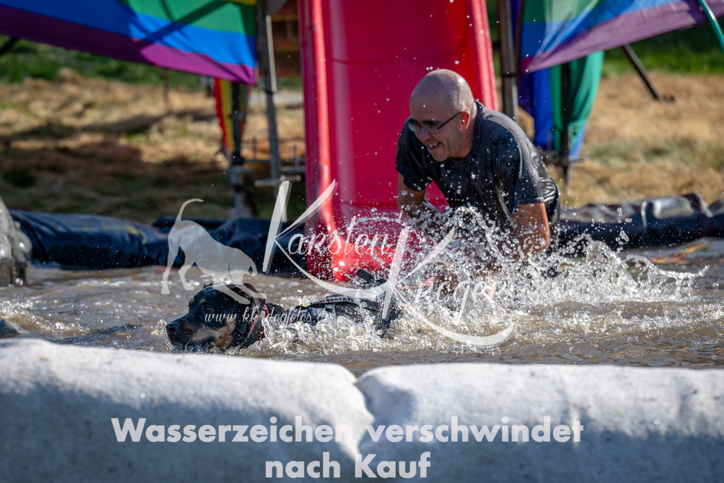 1645_ZZ91245 | kk-dogfotos