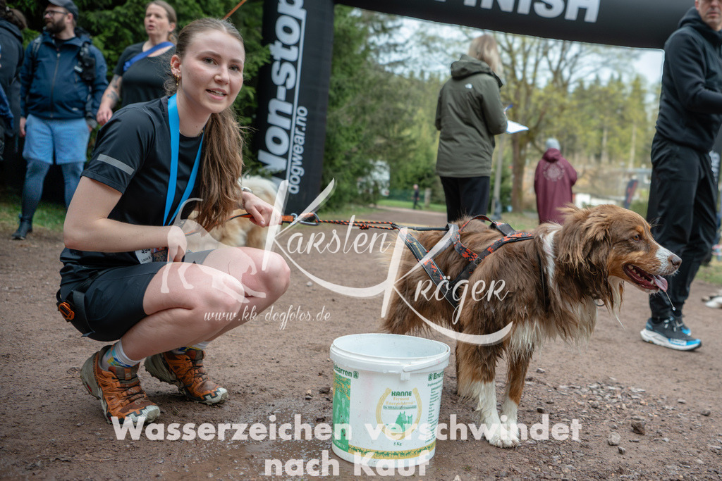 0852DZ6_0934 | kk-dogfotos