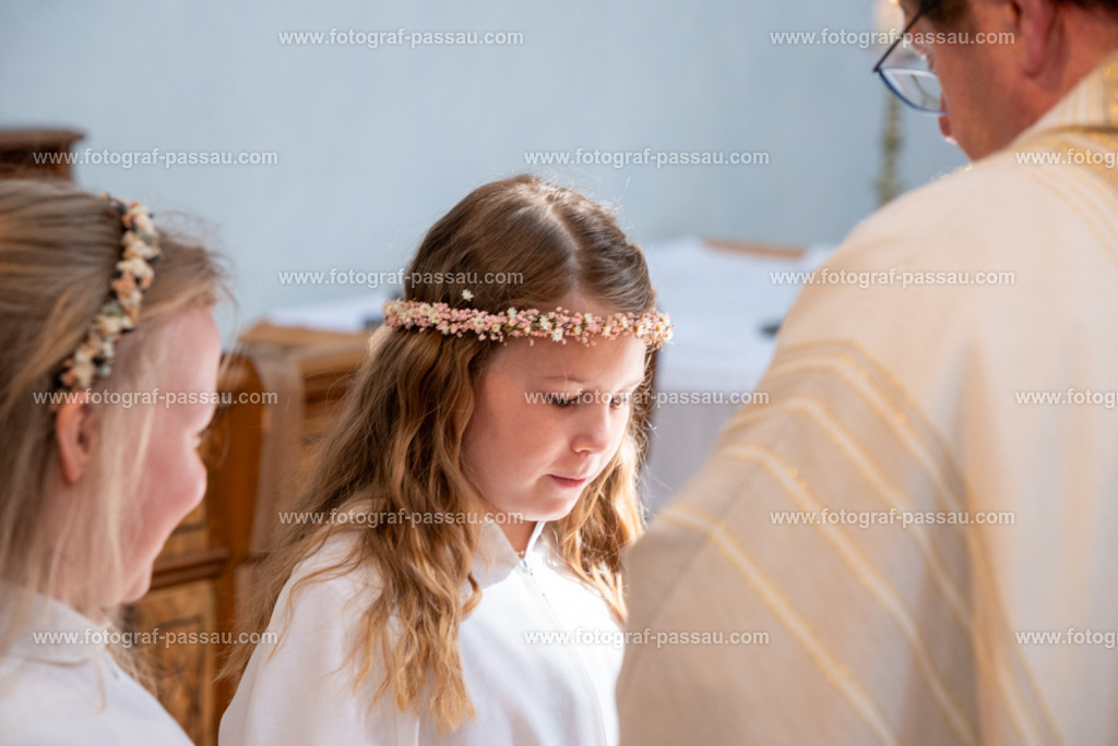 _DSC2727 | Hier finden Sie die Online Foto-Galerie von fotograf-passau.com und marius-handrugan.de. Suchen Sie sich direkt Ihre Lieblingsbilder aus, ob als Ausdruck oder Download. - Realisiert mit Pictrs.com