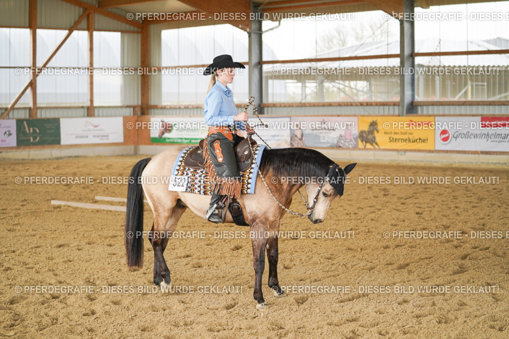 DSC03475 | Pferdegrafie