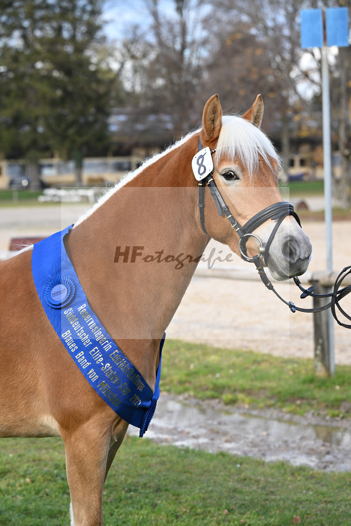 Kat-Nr. 8 Finja v. Barios_Felsl_60221406 | hf-fotografie - Realisiert mit Pictrs.com