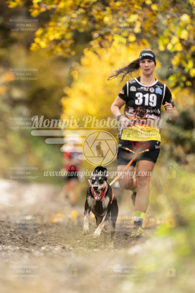 MompixPhotography_ICF_WC_2024_SA_Run_-203 | PayLife