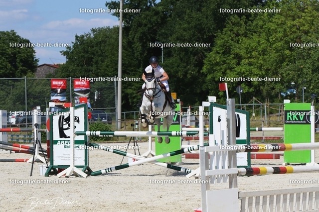 Zeit L (39) | Fotografie, Tiere, Hunde, Katzen, Pferde, Sportfotografie, Fotosession, Tierfotografie, Turnierfotografie, Fotografin, Fotograf - Realisiert mit Pictrs.com