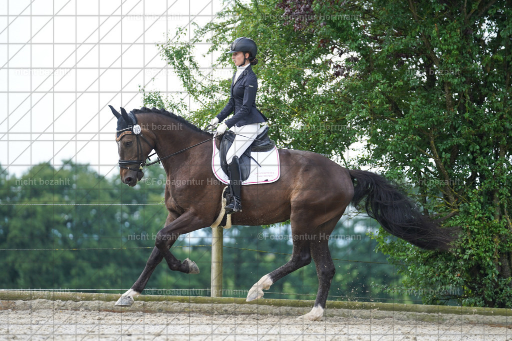 20230826-FAH04469 | Forstinning, 2023, Dressurturnier, Turniersportbilder, Turnierfotografen Bayern, Fotoagentur Herrmann, Reitsportfotografie, Turnierbilder