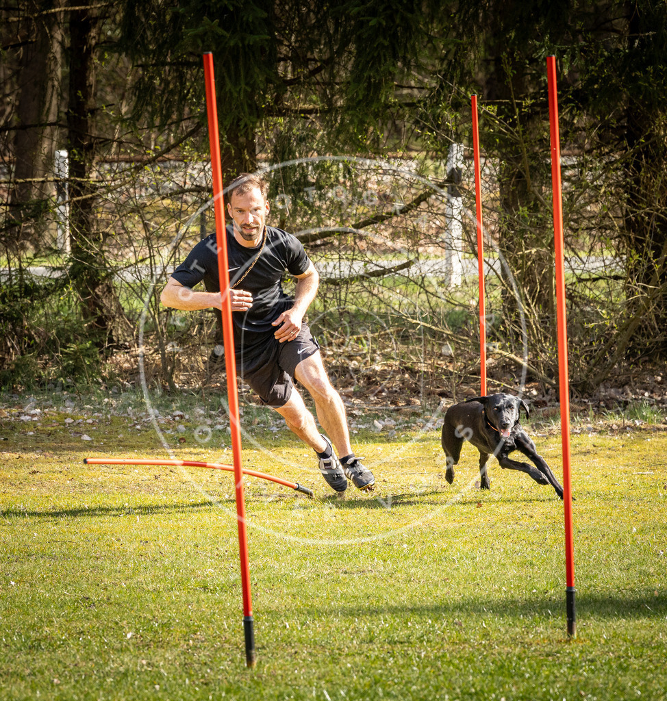 Pfotenfotografie_DV3A1651 | Hundefotografie, Tierfotograf, Pfotenfotografie, Fotoshooting Hund, Hunde Portrait, Hundesport, Hundeportraits, Heideshooting, Hunde, Sportfotograf, Hundefotograf, Turnierhundsport, THS,  - Realisiert mit Pictrs.com
