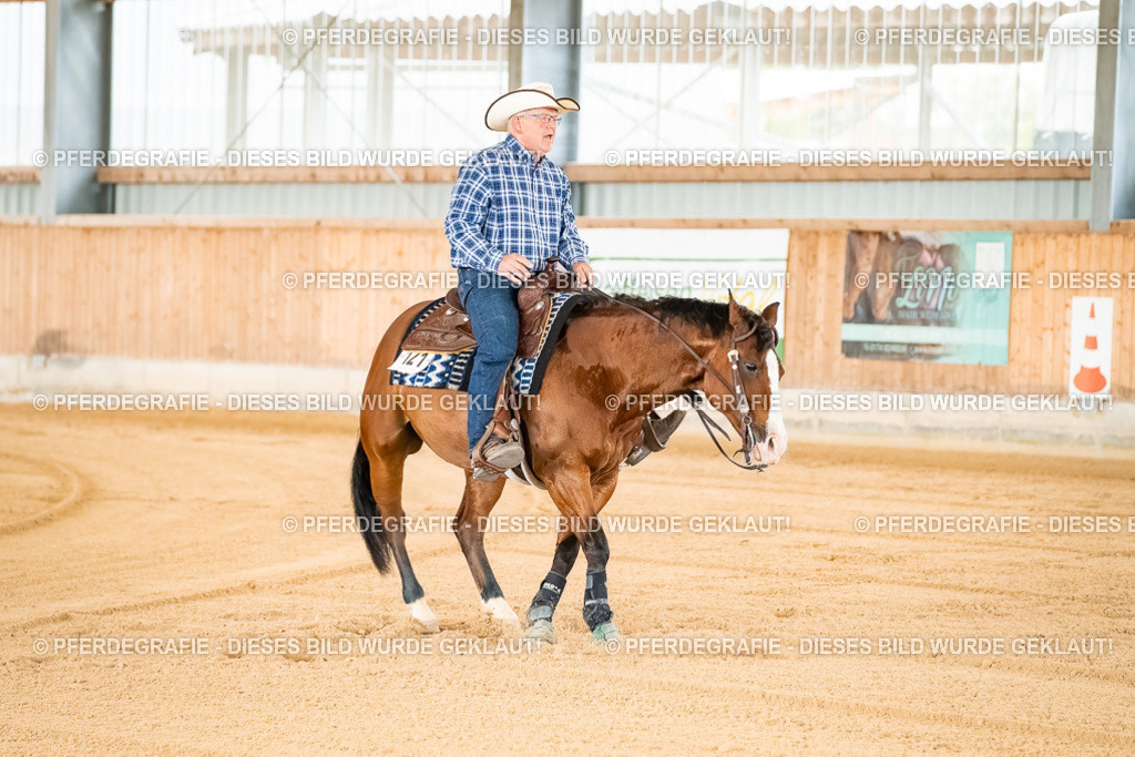 DSC01673 | Pferdegrafie