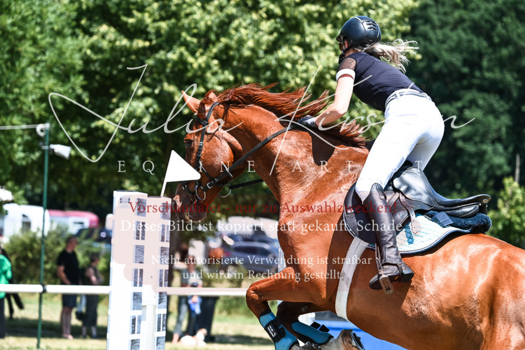 DSC_0475 | Pferde- und Turnierfotografie in Westsachsen. Pferdeportraits, Auftragszeichnungen und intuitive Kunst.