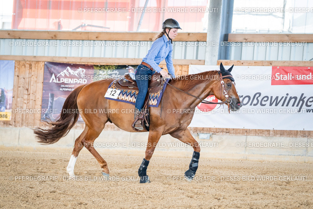 DSC03065 | Pferdegrafie