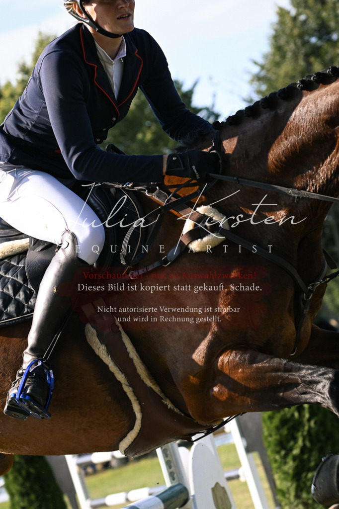DSC_1644 | Pferde- und Turnierfotografie in Westsachsen. Pferdeportraits, Auftragszeichnungen und intuitive Kunst.