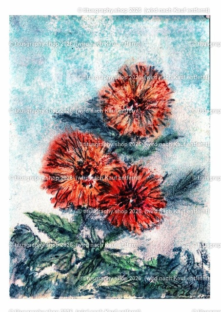 Asterngruß Variation 34 | Zeichnung von Vera Zschecked exclusiv auf titusgraphy.eu - Realisiert mit Pictrs.com