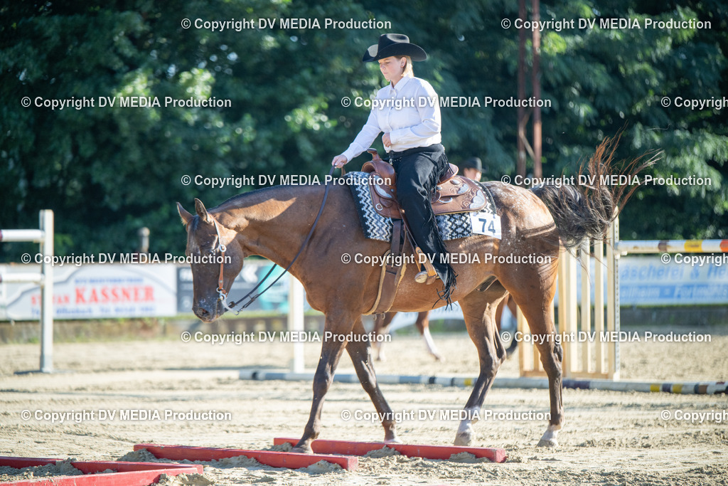 ZS1_0642 | dv-media-shop - Realisiert mit Pictrs.com