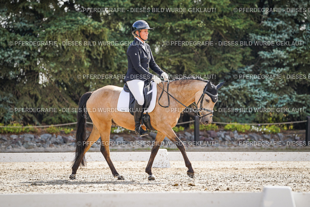 DSC06761 | Pferdegrafie