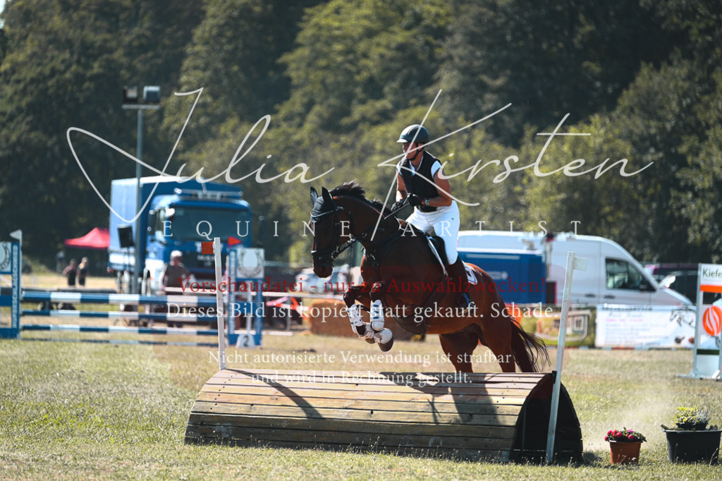 DSC_8239 | Pferde- und Turnierfotografie in Westsachsen. Pferdeportraits, Auftragszeichnungen und intuitive Kunst.