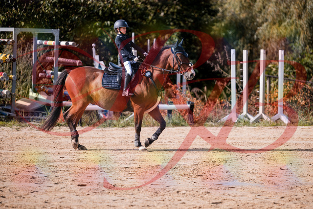 2026_10_03_Siefer-Hof_143726_Z81_05942671 | Professionelle Reitsport-, Turnier- und Eventfotografie von Robert Broda. Galerien mit ausgewählten und bearbeiteten Bildern direkt online ansehen und bestellen.
