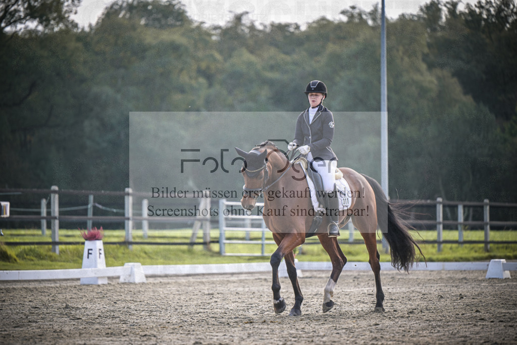 DOS_B014 | Entdecke hochwertige Reitturnierfotos von Foto Oger. Professionell, emotional und authentisch – jetzt Lieblingsmomente im Shop bestellen.Deutschlandweite Turnierfotografie. - Realisiert mit Pictrs.com