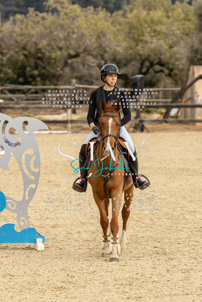 IMG_4602 | s-jay-photography - Realisiert mit Pictrs.com