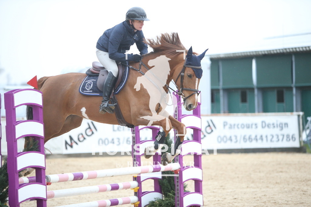 AS8V1817 | Willkommen bei Brunnmayr - Design & Fotografie – Ihrem Spezialisten für Reitturniere und Pferdeveranstaltungen in Oberösterreich, Salzburg und Bayern! Seit über 17 Jahren sind wir leidenschaftlich dabei.