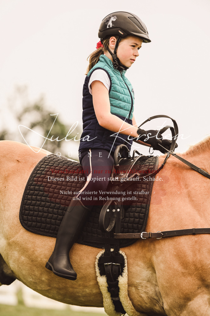 DSC_5335 | Pferde- und Turnierfotografie in Westsachsen. Pferdeportraits, Auftragszeichnungen und intuitive Kunst.