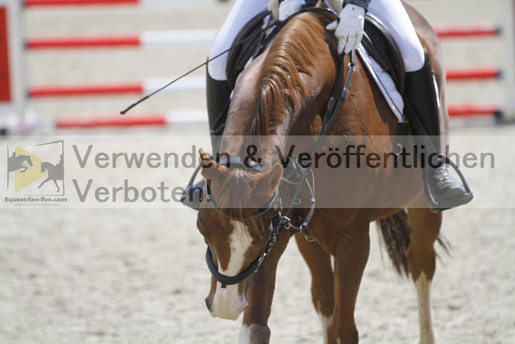 _MG_2001 | equestrian-live-com