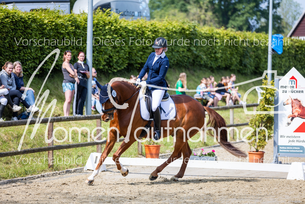 Donop24-L-Dre-009 | MomenTaufnahmen Pferdesportfotos