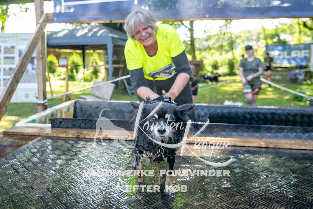 1539_ZZ92310 | kk-dogfotos