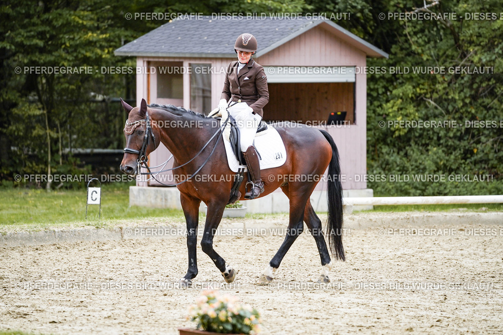 DSC01101 | Pferdegrafie